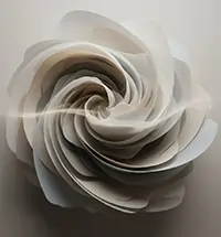 فرم انتزاعی گل‌مانند با لایه‌های نرم و روشن، نماد رشد تدریجی، سکون ذهن و لطافت آگاهی در مجله آگاهی